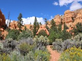 Red Canyon